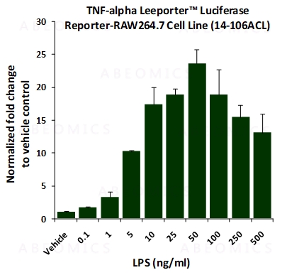 LPSによるレポータ細胞株の反応式